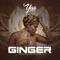 Ginger - Yaa Jackson lyrics