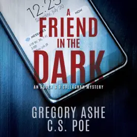 A Friend in the Dark: An Auden & O'Callaghan Mystery, Book 1 (Unabridged)