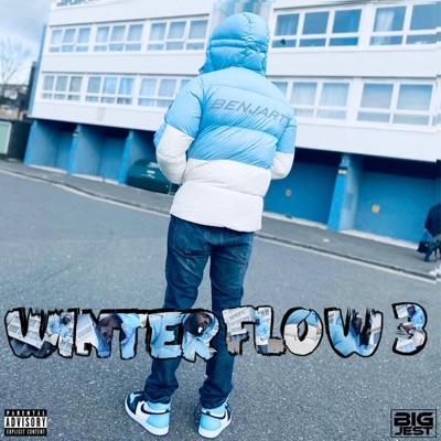 Winter Flow 3 - Single