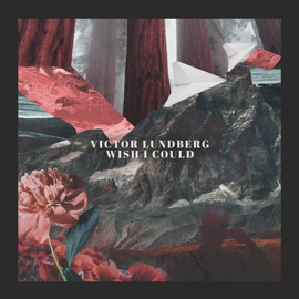 Wish I Could (feat. Andy Delos Santos) Victor Lundberg