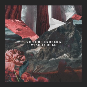 Victor Lundberg - Wish I Could (feat. Andy Delos Santos) - 排舞 音乐