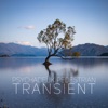 Transient, 2020