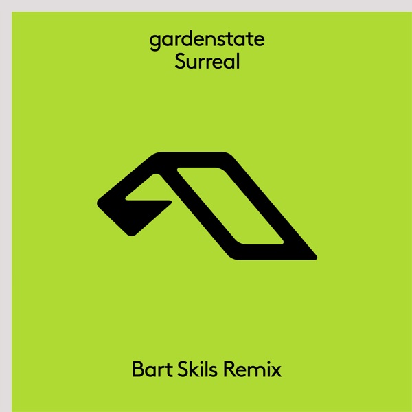 Surreal (Bart Skils Remix) - Single