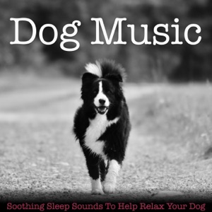 Dog Music: Soothing Sleep Sounds to Help Relax Your Dog