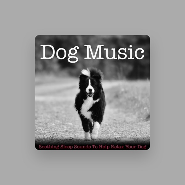 Dog Music's avatar
