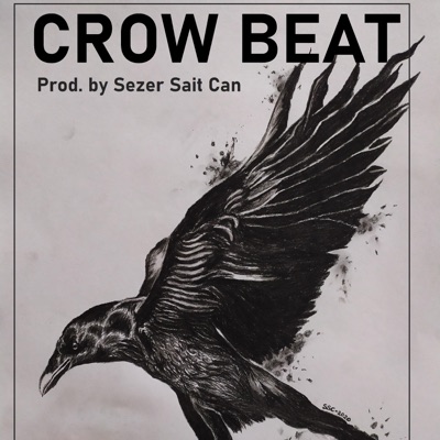Crow Beat - Single