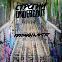 Криминалитет (feat. СТРОГИЙ) - Single - Undergrut