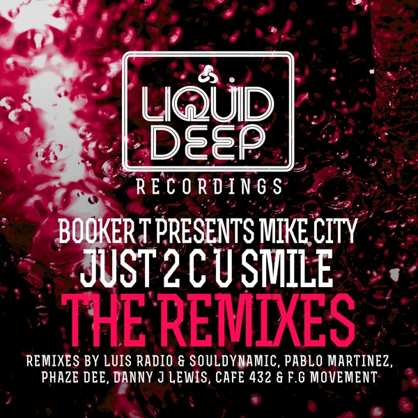 Just 2 C U Smile the Remixes