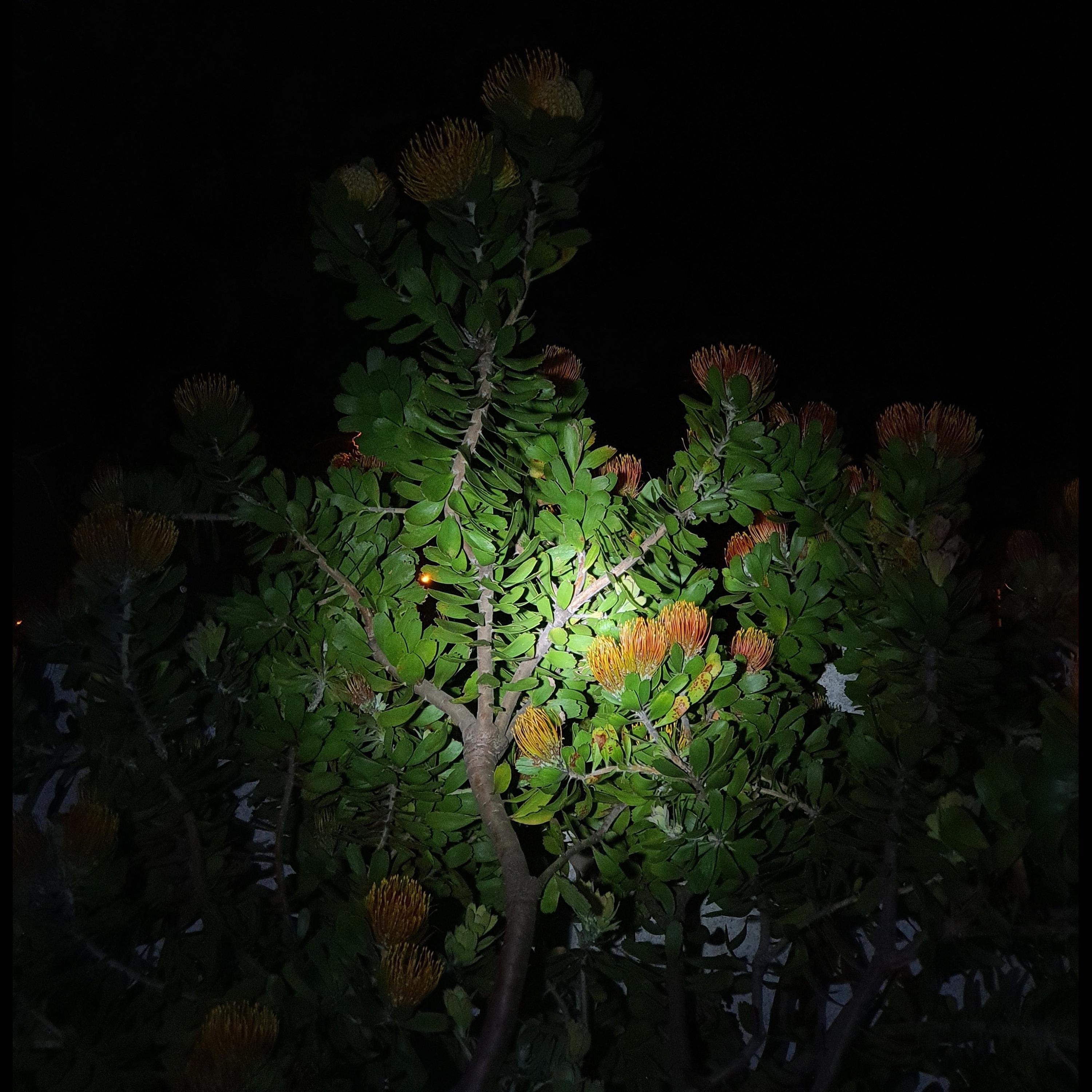 All My Friends Are Depressed