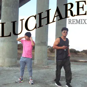 Lucharé (feat. Luigi) [Remix] by Aldo NB song reviws