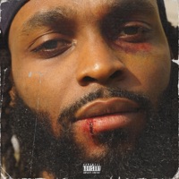 Everybody's Enemy - Sham1016