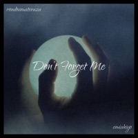 Don't Forget Me (feat. emiukiyo) - Single - Rondoamaterazu