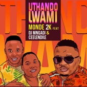 Uthando Lwami (feat. DJ Mngadi & Ceelendile) artwork