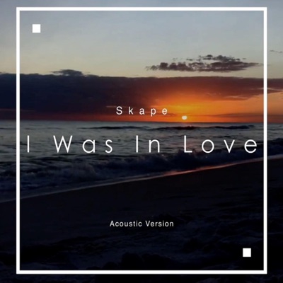I Was in Love (feat. Acid Projekt, Somewhere Know.One & Prakhar Kumar) [Acoustic Version] - Single