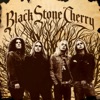 Black Stone Cherry (Bonus Track Version), 2006