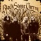 We Are the Kings - Black Stone Cherry lyrics