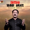 Zainab Vargi Bhain - Single