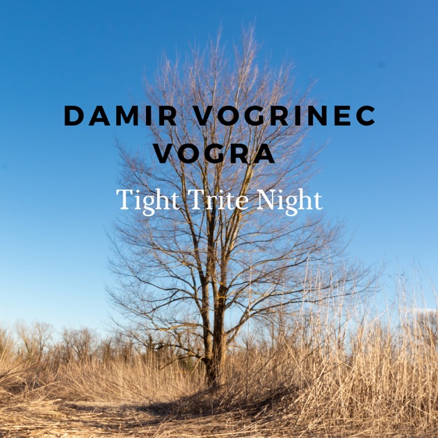 Tight Trite Night - Damir Vogrinec Vograの曲 - Apple Music