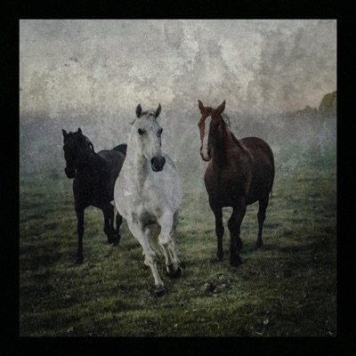 Behold the Hollow Points of the East - EP