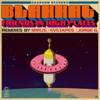 Friends In High Places - Blakkat