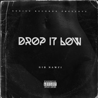 Drop It Low (feat. Nawfi) - Single - G.I.B. the Genius