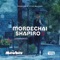 Brachos (feat. Tzvi Silberstein) - Mordechai Shapiro lyrics