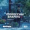 Brachos (feat. Tzvi Silberstein) - Mordechai Shapiro lyrics