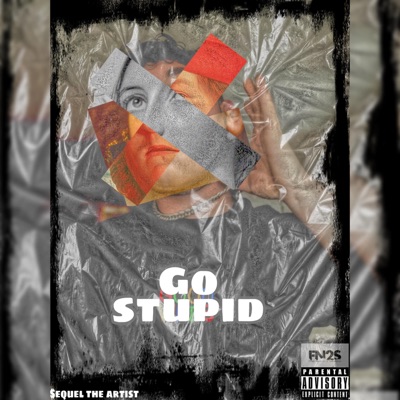 GO Stupid - Single