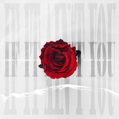 If It Ain't You - Single