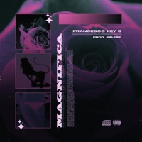 Magnifica - Single - Francesco Key B