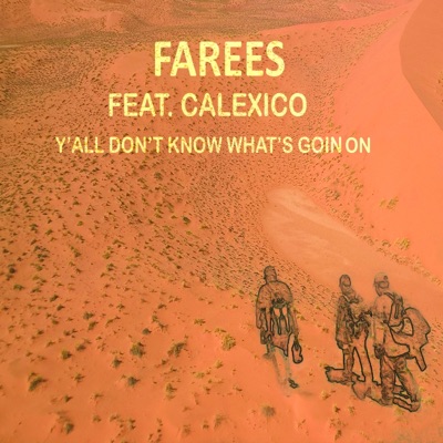 Y'all Don't Know What's Goin On (feat. Calexico) - Single