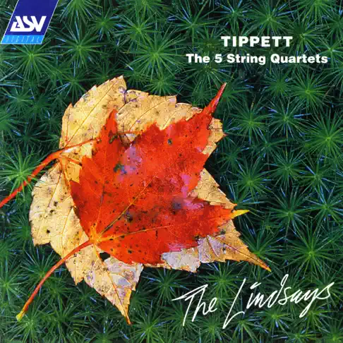 【中古】 String Quartet Tribute to the Beatles ビタミン・ストリング・カルテット Amazon.co.jp: String Quartet Tribute to the Beatles