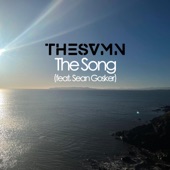 The Song (feat. Sean Gosker) artwork