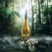 Champagne artwork