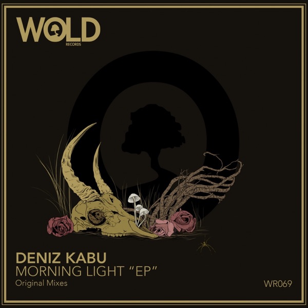 Morning Light - Single