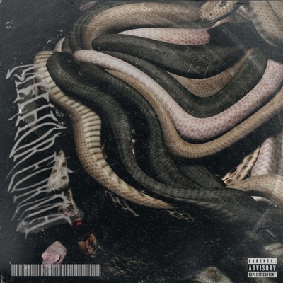 Melhor Forma (feat. LS LUCAS & NIN3 RIPE) - Single