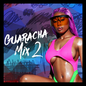 Beautiful Guaracha - DJ Travesura, BigJhey The Producer & Dj Freky