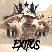 Exitos - The Crash Lokote