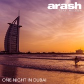 One Night in Dubai (feat. Helena) artwork
