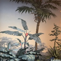 Catcher - Single - Mtsc