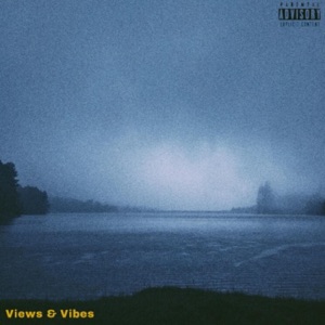 Views and Vibes - EP