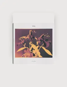 收听 NVG、观看音乐视频、阅读小传、查看巡演日期等 ！