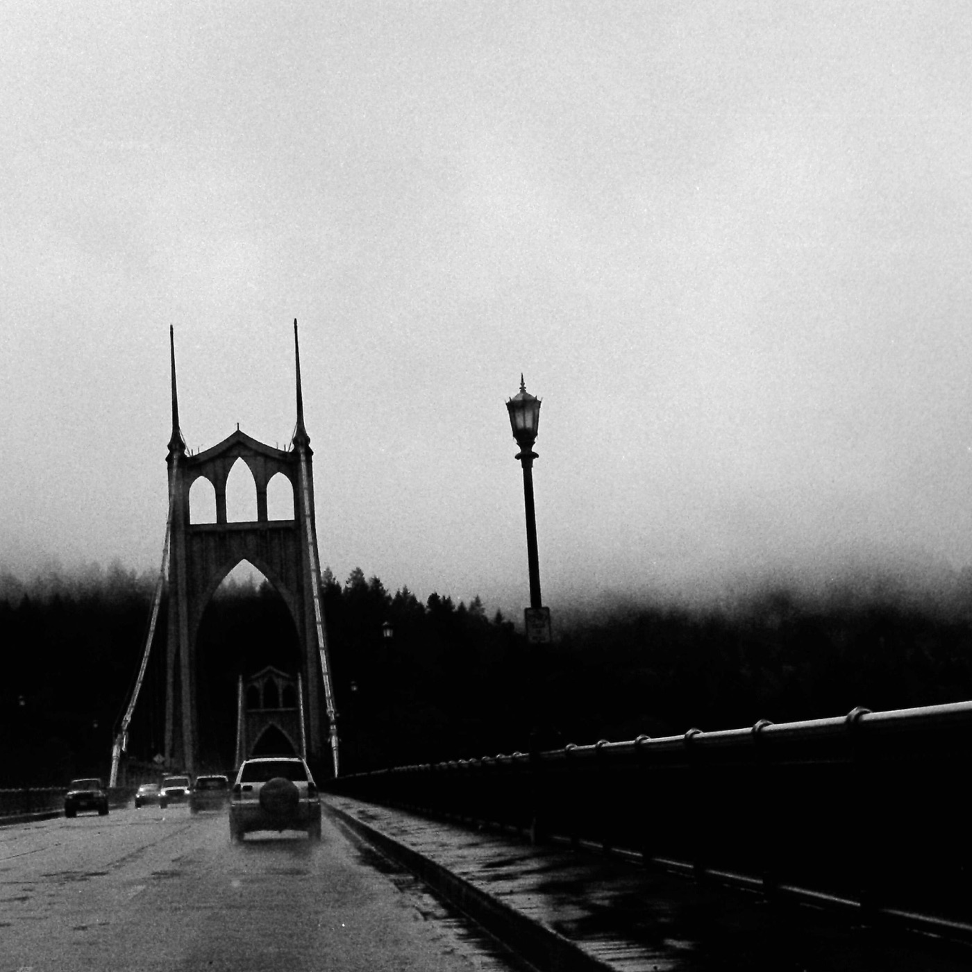 Needles on Trees by Andrew Black