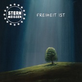 Stern Meißen - In den Kosmos (2020)