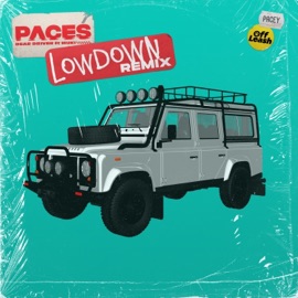 Dear Driver (feat. Muki) [Lowdown Remix] Paces & Lowdown