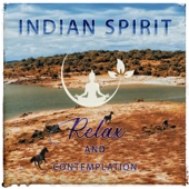 Indian Spirit artwork