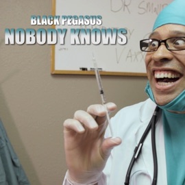 Nobody Knows Black Pegasus