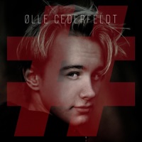 Christmas Lights (feat. Olle Cederfeldt) - Single - #Fuckcancerband