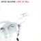 DAvid Mccomb - setting you free