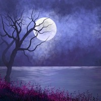 Moonlight Memories - Single - Stxkesey